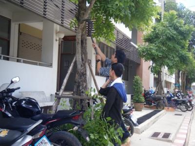 กิจกรรมชมรมอนุรักษ์ธรรมชาติ 10/06/58