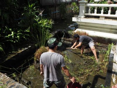 พัฒนาสภาพแวดล้อมแหล่งน้ำภายในวิทยาลัย /-ฝๅ/ฝถค