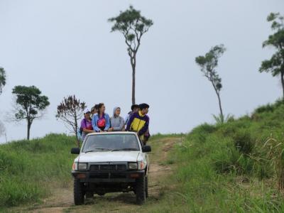 60-ปลูกป่า เขตรักษาพันธ์สัตว์ป่าภูหลวง