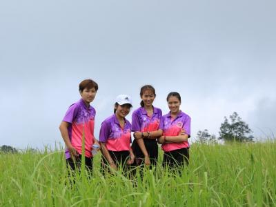 60-ปลูกป่า เขตรักษาพันธ์สัตว์ป่าภูหลวง