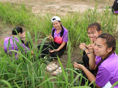60-ปลูกป่า เขตรักษาพันธ์สัตว์ป่าภูหลวง