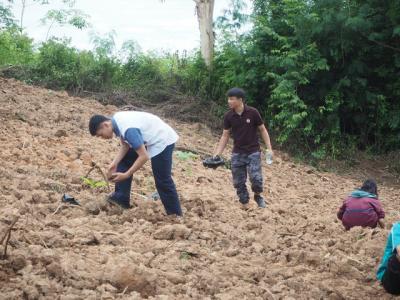 60-ปลูกต้นกล้าบูชาพระธรรม
